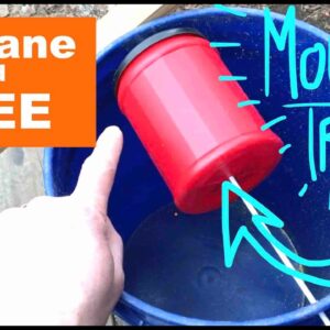 HUMANE DIY Mouse Trap made with free and found junk- EASY to build