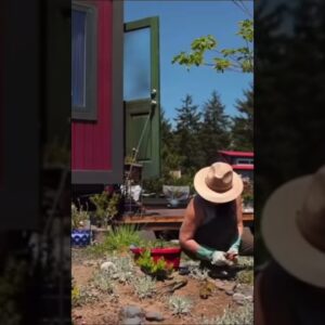 Inside a coastal tiny house village #shorts