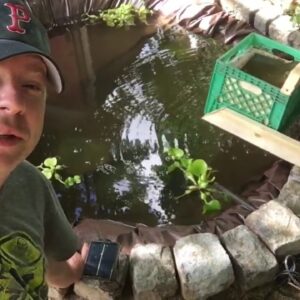 The ZERO dollar DIY koi pond fish filter (made from trash!)