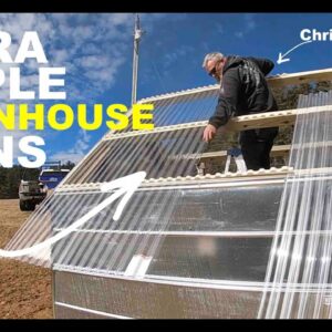 Ultra-affordable GREENHOUSE design and plans! (Glamping cabin?)