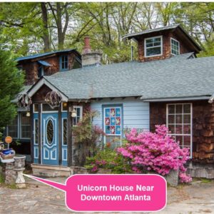 Unicorn House in Downtown Atlanta