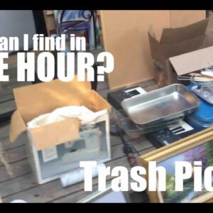 What can we find in ONE HOUR on the streets? Trash Picking For Profit