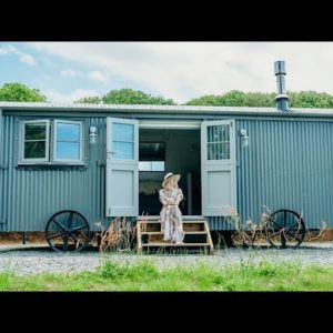 Absolutely Gorgeous Blatchford Briar Shepherds Hut with Farmland Views