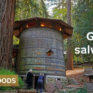 2-story wine barrel beats family's charming redwood log house