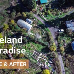 Wasteland becomes clever Restorative Ecovillage: before/after