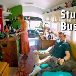 Luxury Apt or Tiny House? Vintage Bus Conversion by Skydive Dropzone