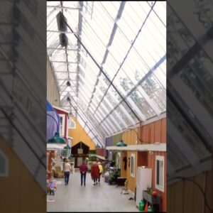 An ecovillage inside a greenhouse