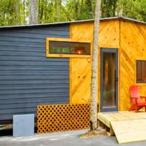 Possibly The Coziest Palm Tree Tiny House near The Hillsborough State Park