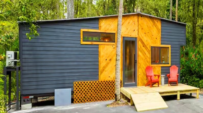 Possibly The Coziest Palm Tree Tiny House near The Hillsborough State Park